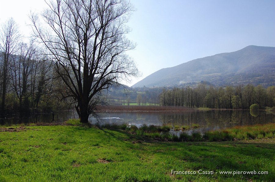 11 Torbiere sul lago d'Endine.JPG